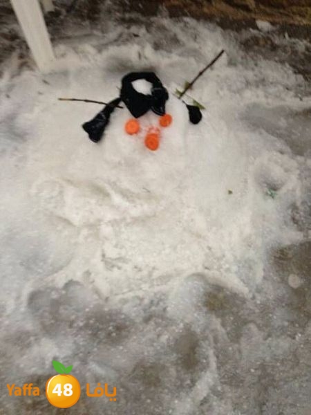 iceman lud 1213 (13).jpg